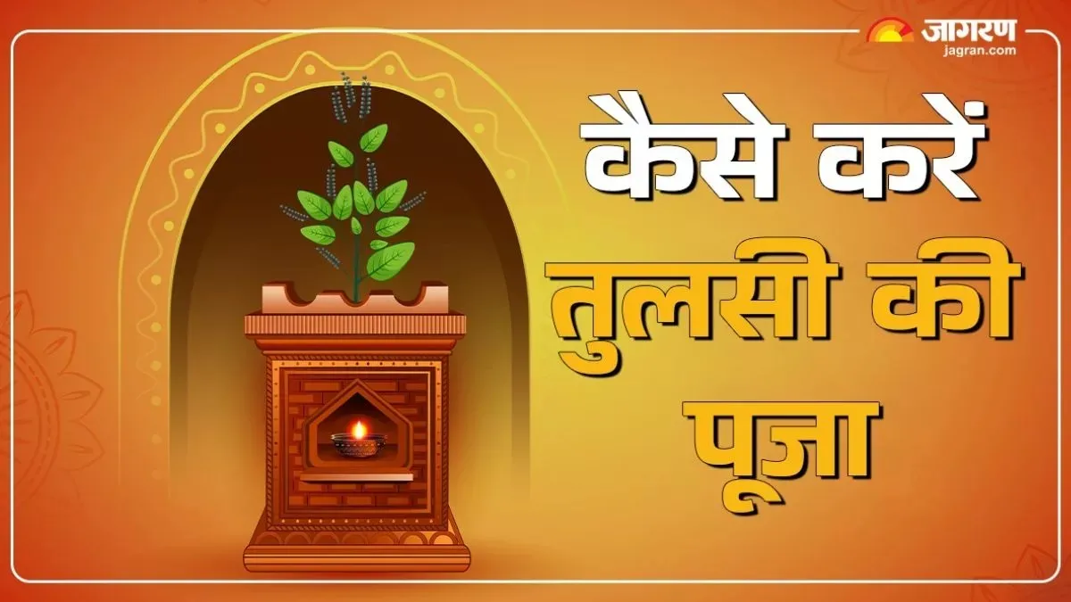 Tulsi Pujan Diwas 2025: Do This Work On Tulsi Pujan Day, You Will Get The Blessings Of Mother Tulsi.