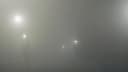 Know This News Before Night Journey! Why Are Serious Accidents Increasing In Fog?