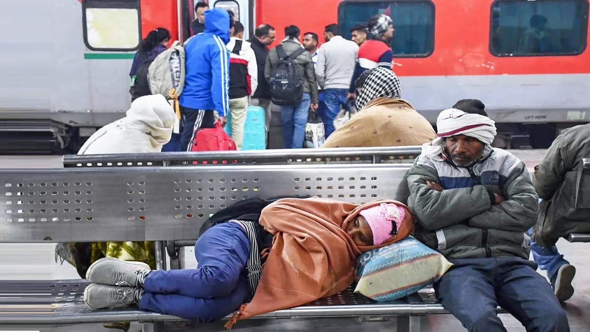 Cold Havoc In North India: Alert Of Severe Cold Wave In Many States Including Delhi-UP, Warning Of Rain In The South.