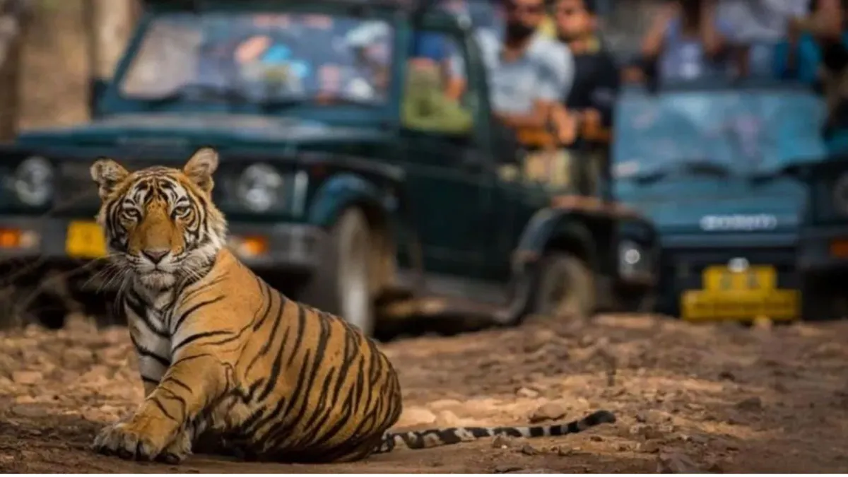 Corbett Park: Lucknow Tourist Took Walkie-talkie To See Tiger, Banned For Six Months