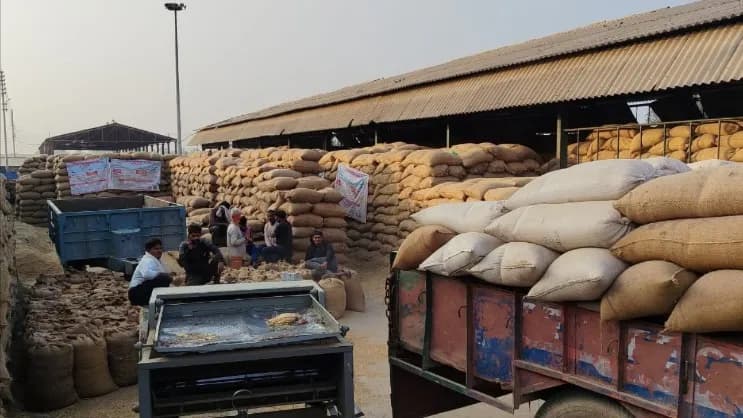 Due To Different Names In Aadhar Card And Khatauni, Land Verification Is Not Being Done, Farmers Are Making Rounds Of Officials.