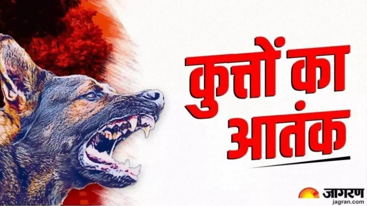 Gurugram Dog Attack: Dogs Are Becoming Dangerous In Gurugram, 2328 People Became Victims In Two Months.