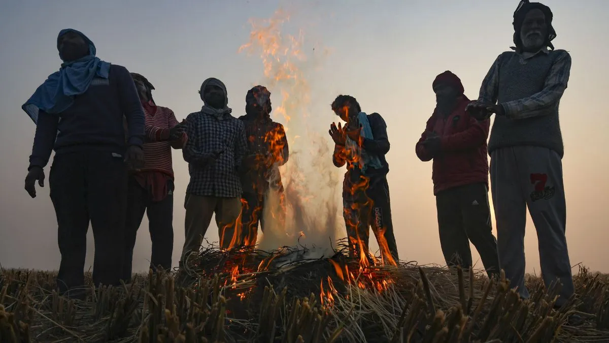 Jharkhand Weather Update: Cold Wave Increases In Jharkhand, Weather Department Alert For Next 5 Days