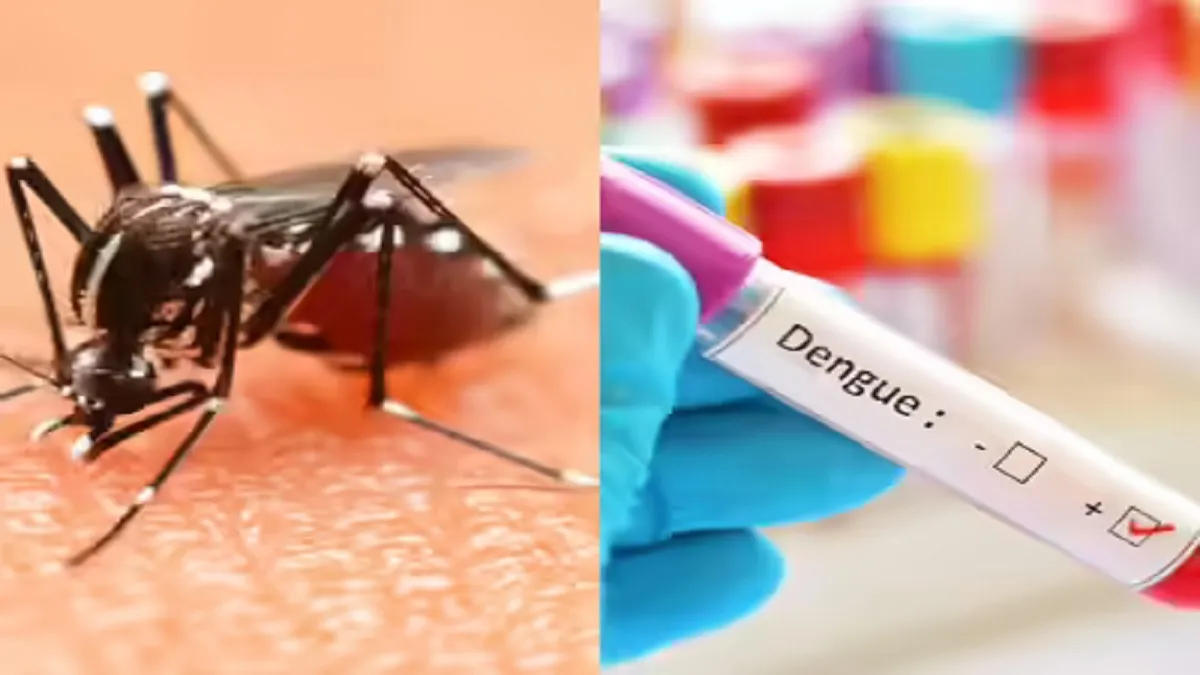 Claim Of Free Test Hollow, Charges On Dengue And Pregnancy Test In Dhanbad Sadar