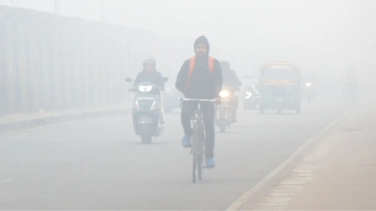UP Weather Today: Fog Has Arrived In Uttar Pradesh, How Will The Weather Be In The Next Seven Days? View Report
