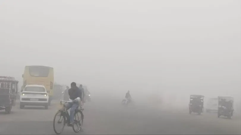Schools Up To 8th Class Closed In Rampur, DM Issues Order Due To Severe Cold And Fog