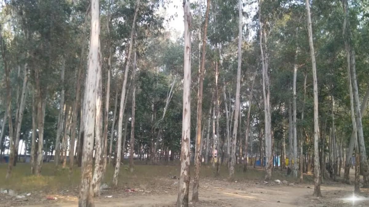 New Year's Gift In Gopalganj, Parks Will Be Built At 16 Places In The Blocks.