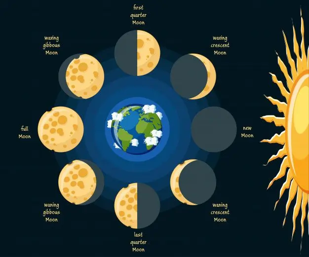 lunar phases