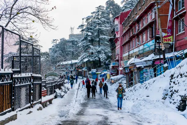 Shimla Weather: An All-Year Guide to the Climate in India’s Iconic Hill Station