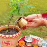 tulsi pujan