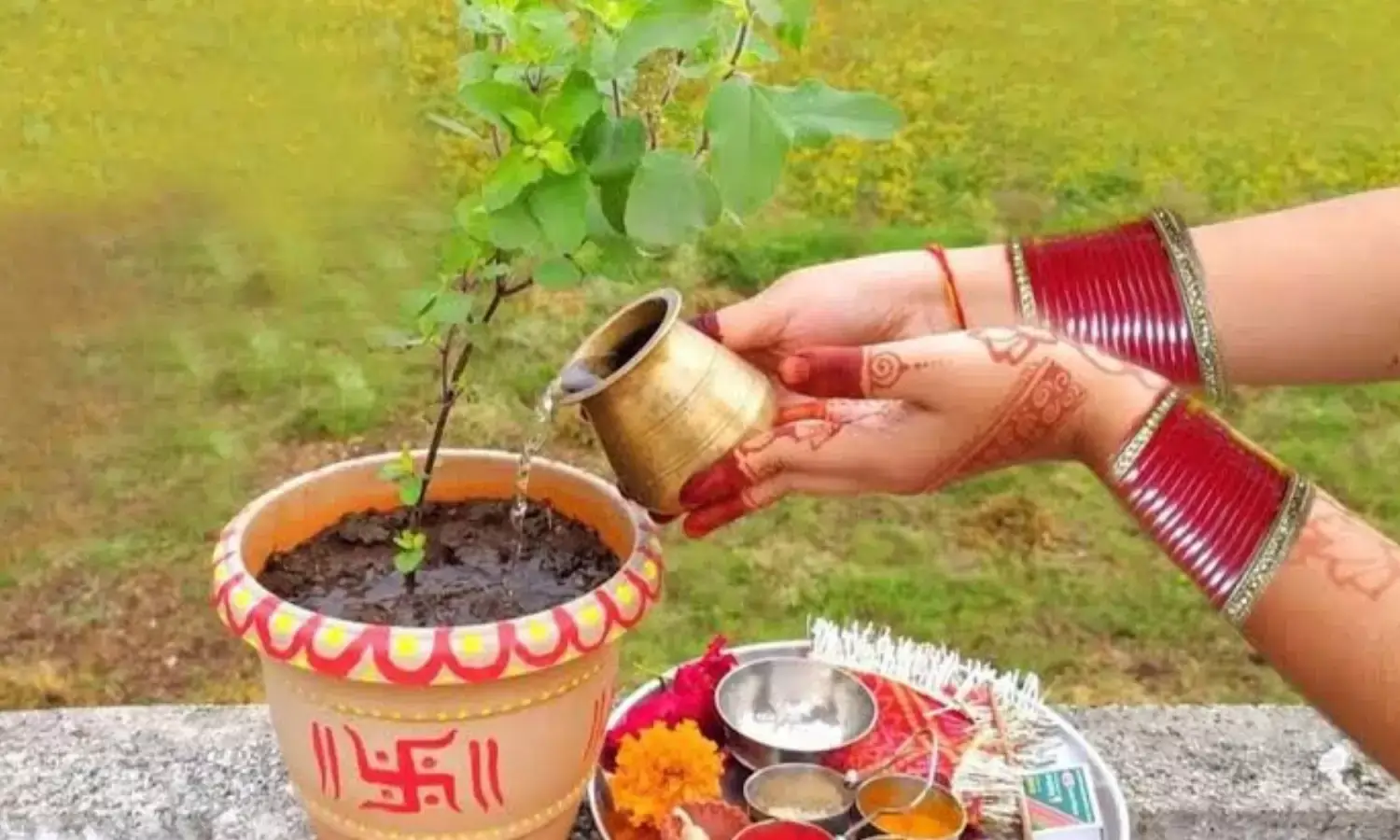 tulsi pujan